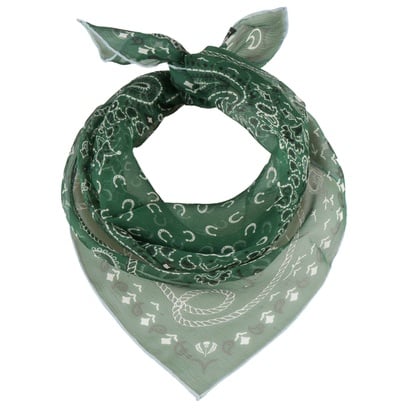 Foulard en Soie Paisley by Fraas
