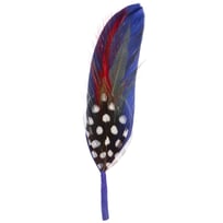 Hoedveer by Stetson - 1,99 &euro;
