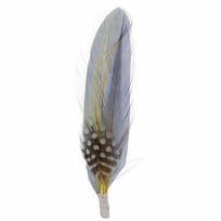 Hoedveer by Stetson - 1,99 &euro;