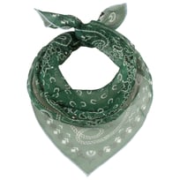 Paisley Zijden Doek by Fraas - 39,95 &euro;